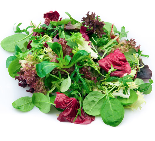 Šaláty sú plné vitamínov – listová zelenina nám dokáže v horúcom lete príjemne odľahčiť jedálniček!