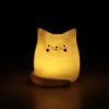 Svetlosivá malá LED lampa v tvare mačky Disaster Cat