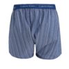 Súprava dvoch vzorovaných classic fit trenírok v modrej farbe Calvin Klein Underwear