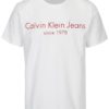 Biele pánske regular fit tričko s potlačou Calvin Klein Jeans