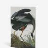Biely zápisník s motívom žeriava Magpie Heron
