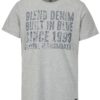 Sivé regular fit tričko s potlačou Blend