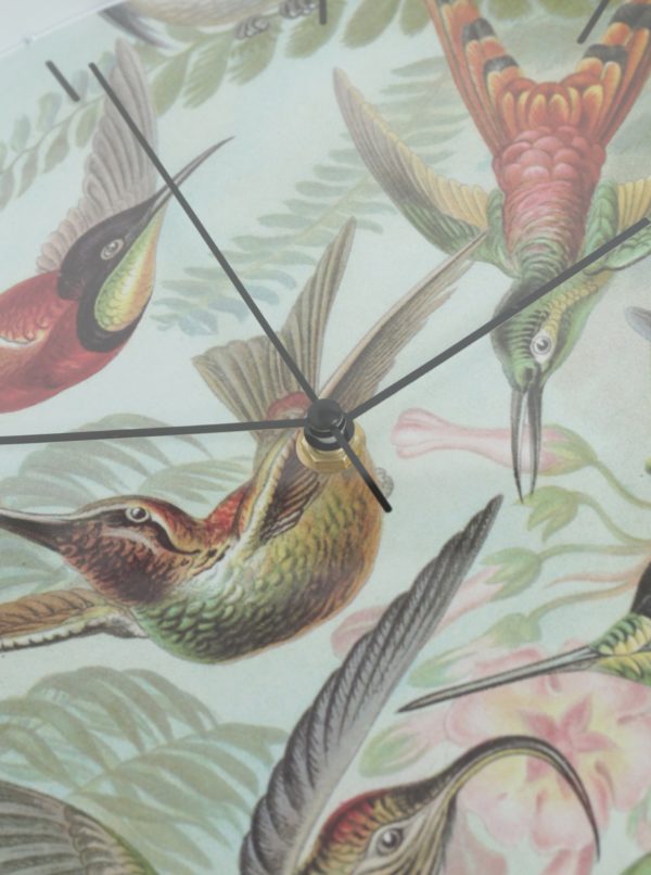 Zelené nástenné hodiny s motívom kolibríkov Magpie Hummingbirds