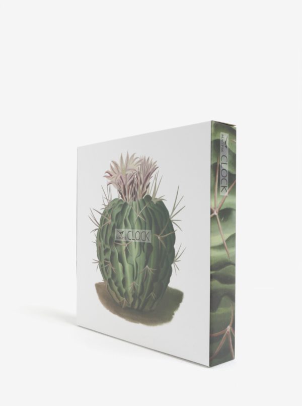 Bielo-zelené nástenné hodiny s motívom kaktusu Magpie Botanical