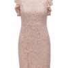 Svetloružové čipkované šaty s flitrami Dorothy Perkins Petite