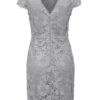 Sivé čipkované puzdrové šaty Dorothy Perkins