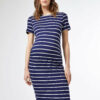 Modré pruhované tehotenské basic šaty Dorothy Perkins Maternity