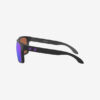 Oakley Holbrook™ XL Slnečné okuliare Čierna Fialová