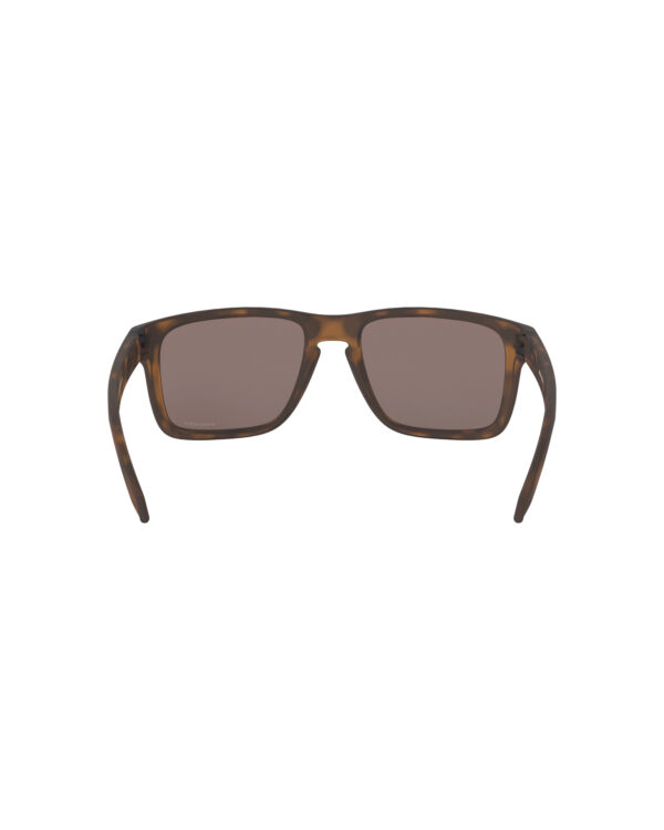 Oakley Holbrook™ XL Slnečné okuliare Hnedá