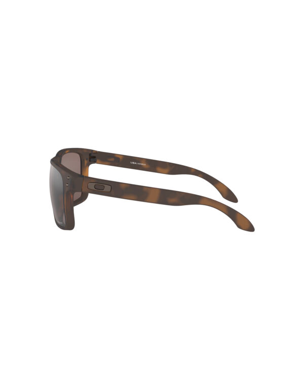 Oakley Holbrook™ XL Slnečné okuliare Hnedá