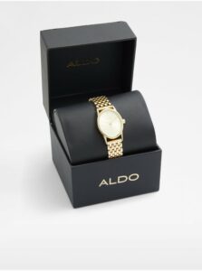 Dámske hodinky v zlatej farbe ALDO Gethin